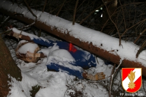 20150128 forstunfall 02