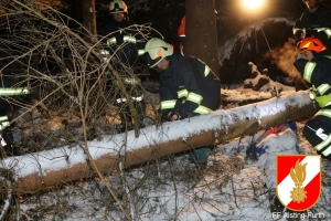 20150128 forstunfall 05