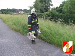 10.10.2015 Finnentest