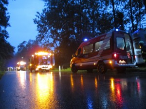 02.07.2016 Umgestürzter Baum