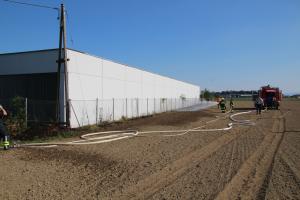 09.08.2018 Brand Baum, Flur, Böschung