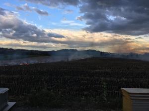 20201003 174520 IMG-6078