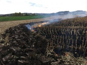 20201003 174616 IMG-6081