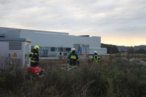 20201003 175134 IMG 0784