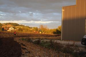 20201003 181458 IMG 0810