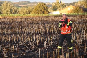 20201003 181550 IMG 0815