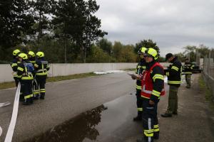 20211016 094937 IMG 1551